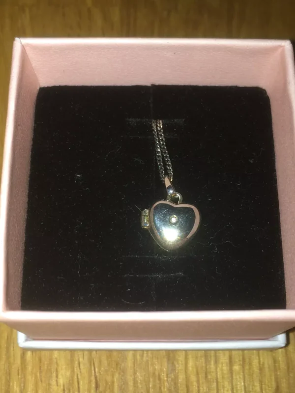 Diamond Heart Pendant & 925 Sterling Silver Cable Necklace/Chain + Pandora Box - Image 2